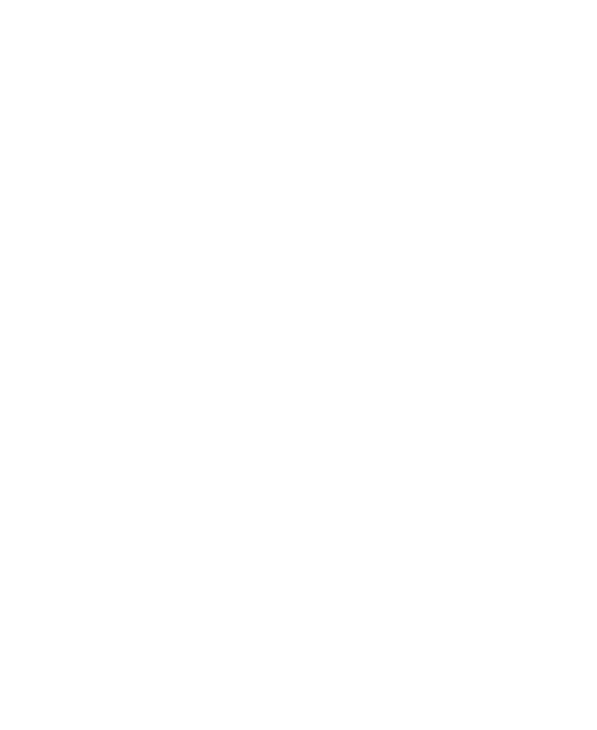 Memento Mori Yayınları